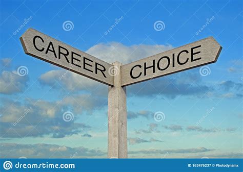 Career Choice Choices Sign Arrow Direction Pointing Path Left Right