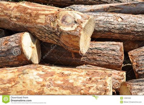 Pile Of Log Stock Photo Image Of Bark Abstract Piles 14081550