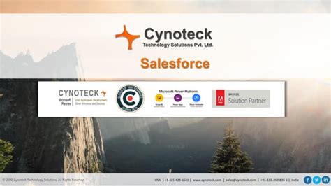 Cynoteck Salesforce Presentation Consulting Services Ppt