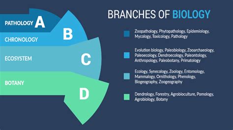 🎉 3 main branches of biology what are the 3 main branches of biology 2022 11 07