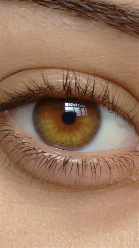 20 Best Olhos Images On Pinterest Eyes And In Living Color