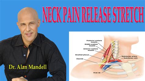 Neck Pain Release Stretch How To Decompress Pinched Nerve Dr