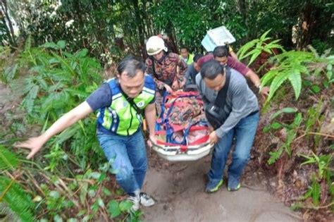 Tempat yang sesuai untuk merawat kecemasan perubatan haiwan adalah di klinik veterinar. Tergelincir ketika daki Bukit Banang, wanita maut jatuh ...