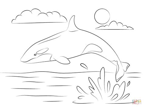 We have collected 39+ killer whale coloring page images of various designs for you to color. Cute Killer Whale is Jumping Out Of Water coloring page ...