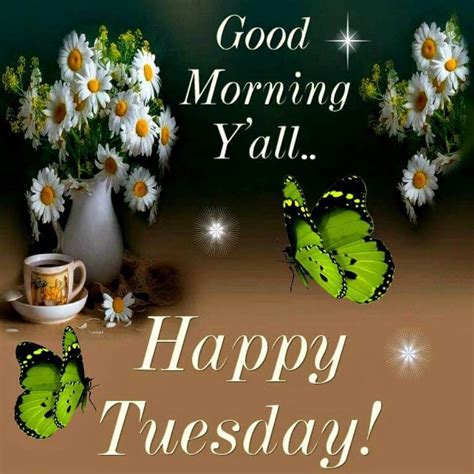 Good Morning Yall Happy Tuesday Pictures Photos And Images For