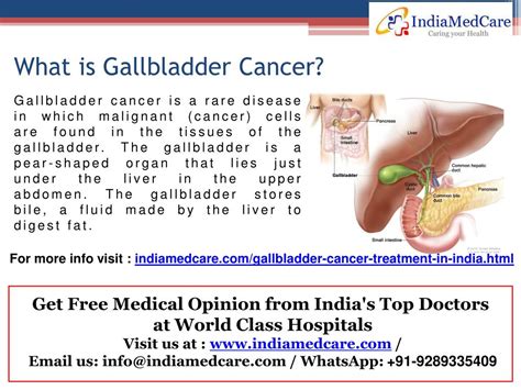 Ppt Gallbladder Cancer Treatment In India Powerpoint Presentation Free Download Id7655230