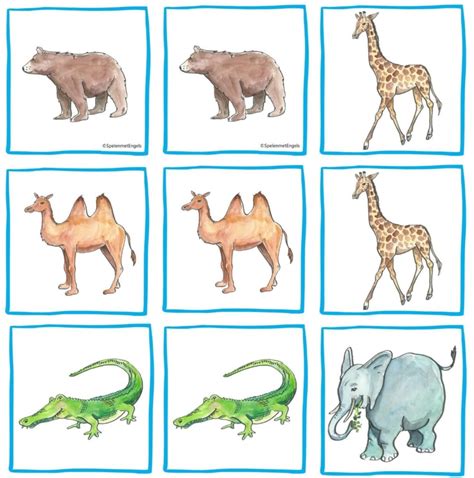 Memory Wild Animals Voor Groep 1 Tm 8 Spelen Met Engels