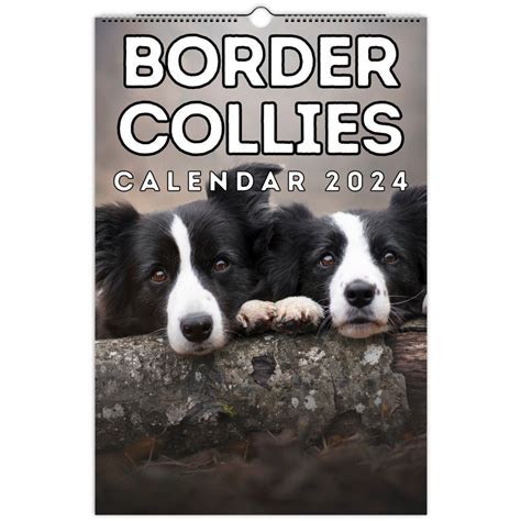 Border Collies Wall Calendar 2024 Cute T Idea For Border Etsy