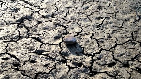 Severe Texas Drought Takes Toll On Rivers Drying Up