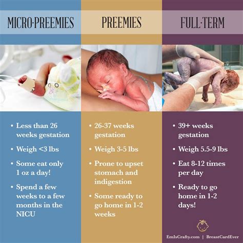 Micropreemie Preemie Fullterm Baby Facts Nicu Nurse Education Nursing School Survival Nicu Nurse