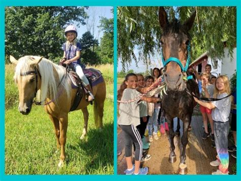 Own A Horse At Legacy Stables Summer Camp