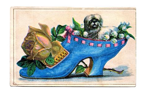 Vintage Clip Art Ladies Shoe With Pup The Graphics Fairy