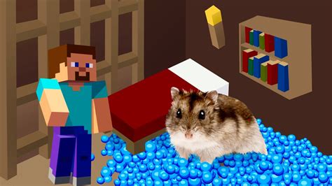 🐹hamster Escapes From The Minecraft Prison Mazе Youtube