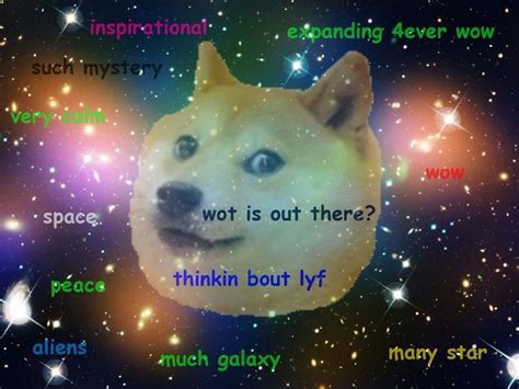 Doge, the shiba inu meme. Wow much funny | Doge meme, Funny doge, Memes