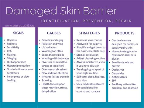 Damaged Skin Barrier Step By Step Guide To Repair And Keep It Healthy