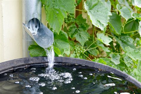 cisternas e reutilização de água da chuva mais simples do que parece ciclovivo