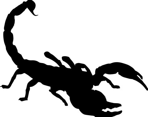 Scorpion Png Photo Png Mart