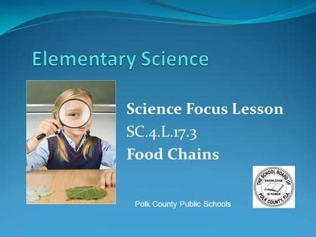 Science Focus Lesson SC.4.L.17.3 Food Chains> | Science, Science demonstrations, Elementary science