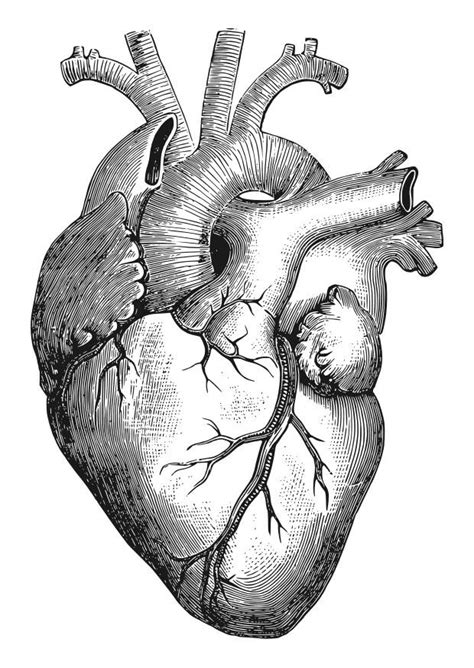 We did not find results for: Disegno da colorare cuore - Disegni Da Colorare E Stampare ...