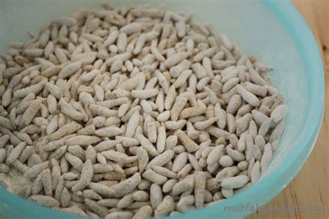 Oğmaç çorbası tarifinin aşama aşama yapılışı, malzemeleri, fiyatı ve kalorisi metinli anlatımla lokma'da! Mutfak Günlüğü - Oğmaç Çorbası