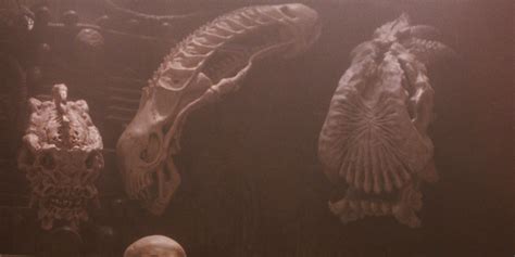 Alien Explorations Predator Stephen E De Souzas Val Verde Universe