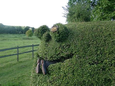 Hedge Monster Arggg Topiary Garden Hedges Garden Landscaping