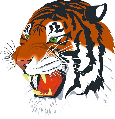Tiger Head Png Transparent Background Free Download 3