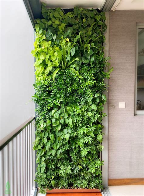 A Green Wall On The Side Of A Building With Plants Growing Up Its Sides