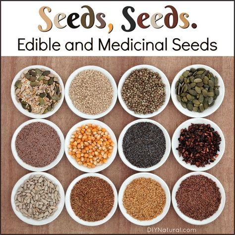 Edible And Medicinal Seeds 10 Seeds You Can And Should Eat Edible