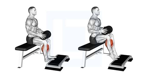 Weighted Seated Calf Raise Guide Benefits And Form