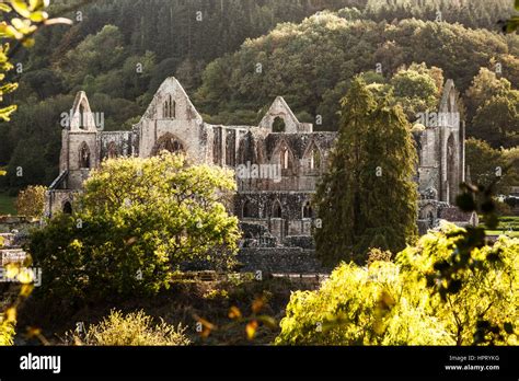 The Ruins Of Tintern Abbey In Monmouthshire Wales Stock Photo Alamy
