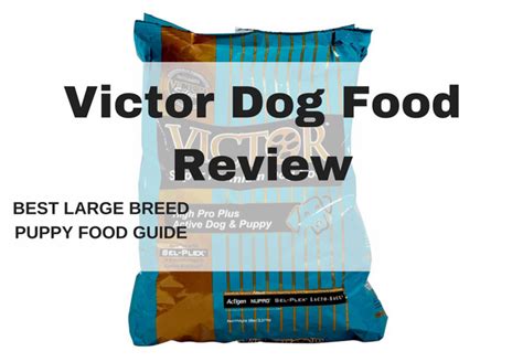 We offer everyday low prices and excellent customer service to help keep your pet healthy. Victor Dog Food Review | Best Large Breed Puppy Food Guide
