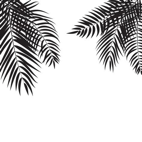 Beautifil Palm Tree Leaf Silhouette Background Vector Illustrat 3364103