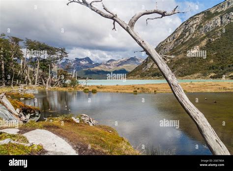 Lakes In Tierra Del Fuego Argentina Stock Photo Alamy