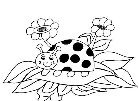 We did not find results for: Ladybug Coloring Pages for Preschoolers, kids,no print, free