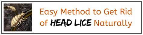 Easy Method To Get Rid Of Head Lice Naturally I Use It On My Kids