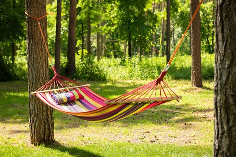 Everything You Need To Know About How To Hang A Hammock Outdoors