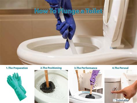 Toilet Plunging Guide Of 2023 Toiletable