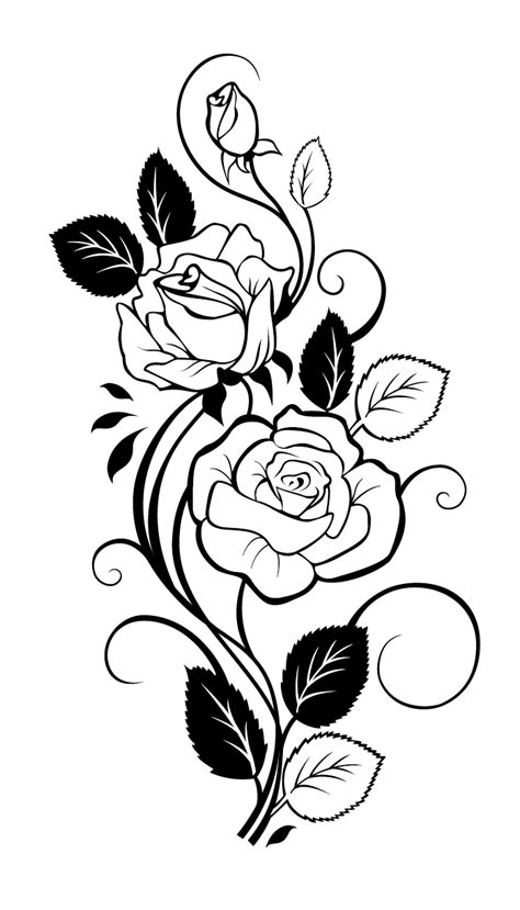 Rose Drawing Vine Clip Art Rose Png Download 7001225 Free