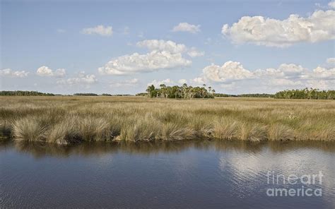 Florida Salt Marsh Photograph By John Arnaldi