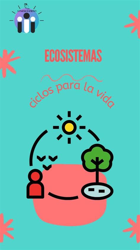 Dinámica De Un Ecosistema Estudia Y Aprende