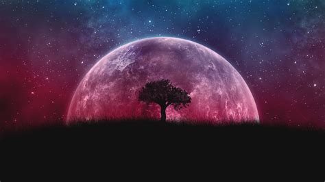 Download 1920x1080 Wallpaper Planet Silhouette Tree Moon Galaxy