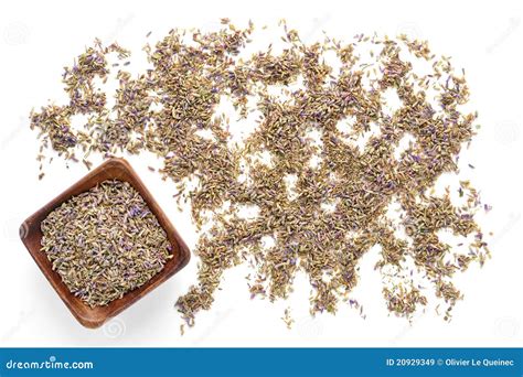 Lavender Seeds Over White Background Royalty Free Stock Images Image