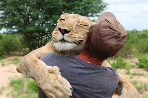 Heartwarming Picture Shows Lioness Hugging Man Who Saved Her Life