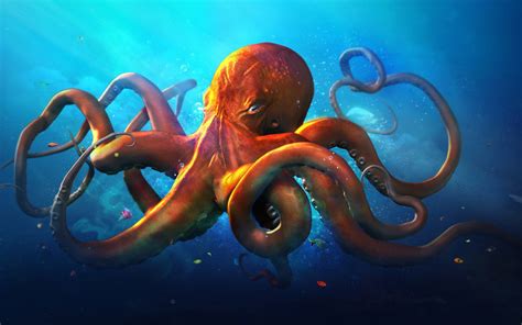 Cute Octopus Wallpaper 43 Images