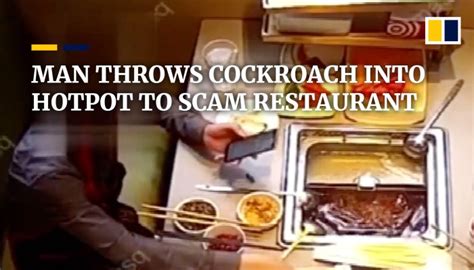 Man Throws Cockroach Into Hotpot To Scam Restaurant In China South China Morning Post