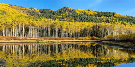 Autumn Trees Reflecting On Willow Lake In Utah Photograph By James