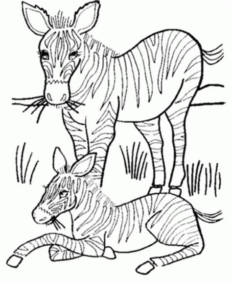 Zebra coloring pages for kids. Zebra Coloring Pages To Print | Printable Coloring Pages ...