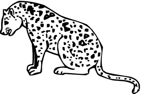 Cheetah Coloring Pages Clip Art Library