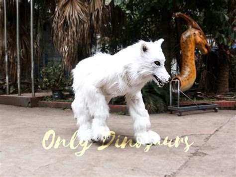 Dire wolves are an actual extinct species. Life Size White Wolf Costume For Show | Only Dinosaurs